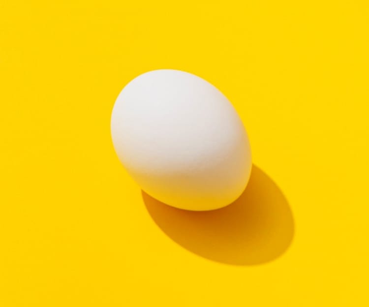 egg-photo